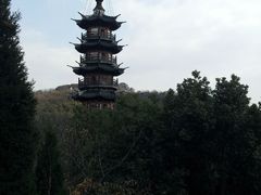 -上海佘山国家森林公园西佘山园