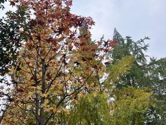 -成飞公园
