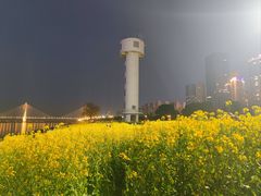 -武昌江滩
