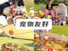 -栖露营camping·天幕烧烤·团建拓展·采摘营地