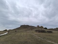 -御道口草原森林风景区