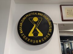-温鉴良实用咏春拳