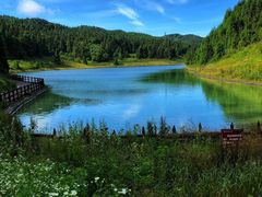 -武陵山森林公园