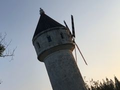 -东平国家森林公园