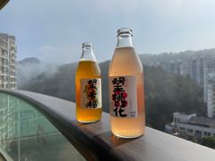 -老淳安—伴山伴湖(千岛湖开元度假村店)