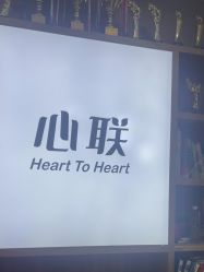 -心联形象设计·流星染