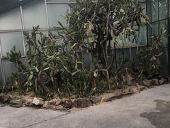 -华南国家植物园-售票处