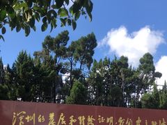 -莲花山公园