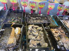 -新金盛·海鲜酒楼(盐田店)