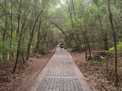 -紫金山山顶公园