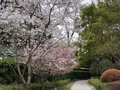 -徐家汇源景区-衡山公园