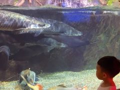 -太平洋海底世界