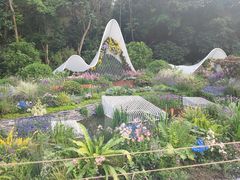 -深圳仙湖植物园