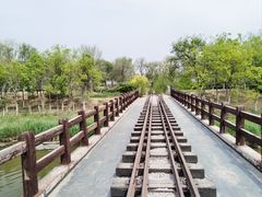 -西青郊野公园