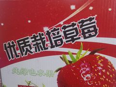 -小鱼草莓采摘园农家乐·小鱼餐厅