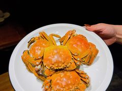 -唐猫庭院·千年陕菜(大唐不夜城店)