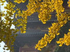 -常熟方塔园