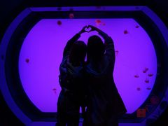 -沈阳海洋探索中心