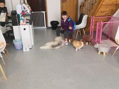 -汪说·狗咖(旺城大厦店)