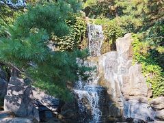 -燕塞湖鸟语林景区