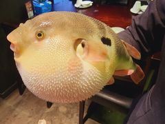 -永安鱼庄·镇江菜(东吴路店)