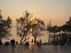 -宝安西湾红树林湿地公园