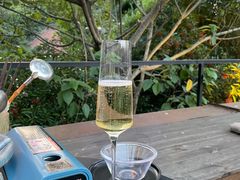 -毛辣果·酸(OHA复兴西路店)