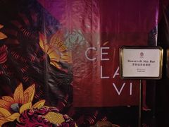 -罗斯福色戒酒吧(外滩店)