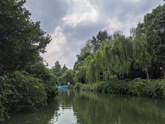 -红梅公园
