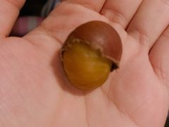 -阿男野栗王(金门路店)