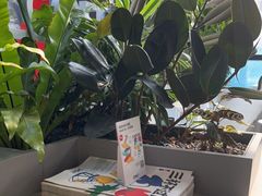 -Seesaw Coffee(深圳万象天地店)