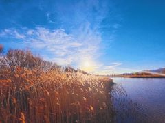 -野鸭湖国家湿地公园