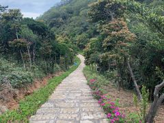 -啊溜烧烤·炭火传承(南澳店)