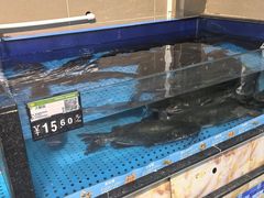 -信誉楼(新乐店)