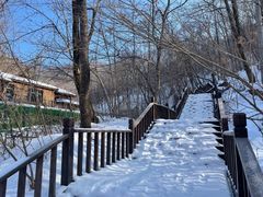 -天女山森林公园