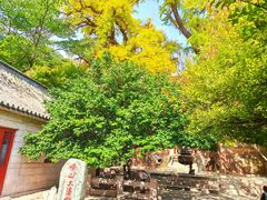 -青岛崂山太清宫