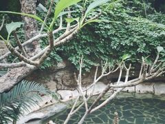 -龙达温泉生态城
