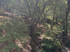 -虞山风景区