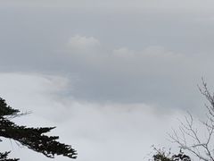 -瓦屋山景区
