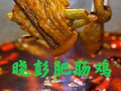 -晓彭肥肠鸡·泡椒鸡火锅(水木天地店)