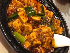 -陈麻婆豆腐总店