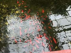 景点-晶宝温泉农庄
