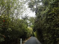 -华侨城湿地公园