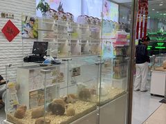 -友谊阳光城