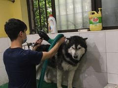 -酷狗靓猫宠物·洗护·美容·寄养(航北路店)