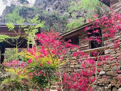 -水墨汀溪风景区