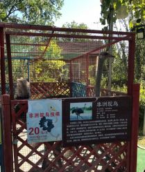 -萌宠亲子动物乐园(槐房万达店)