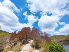 -玉渡山自然风景区