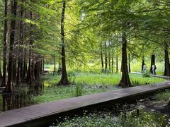 -溱湖国家湿地公园