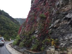 -亮马河饭店翠雅咖啡厅